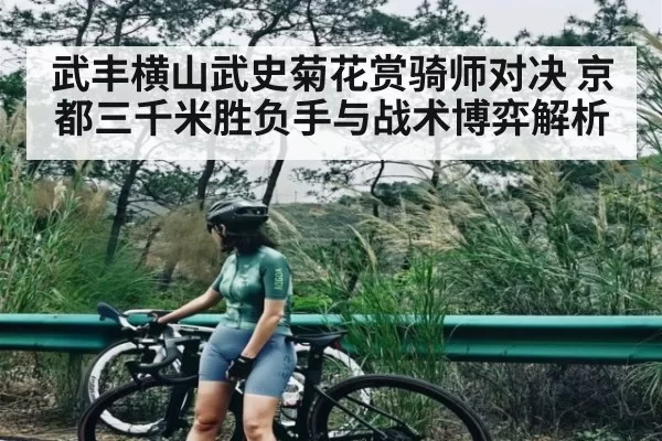 武丰横山武史菊花赏骑师对决 京都三千米胜负手与战术博弈解析